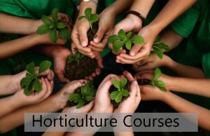 Horticulture Courses Details – Eligibility, Duration, Areas Of Study ...