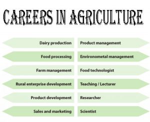 Agriculture Career – Course, Scope, Job Opportunities And Salary ...